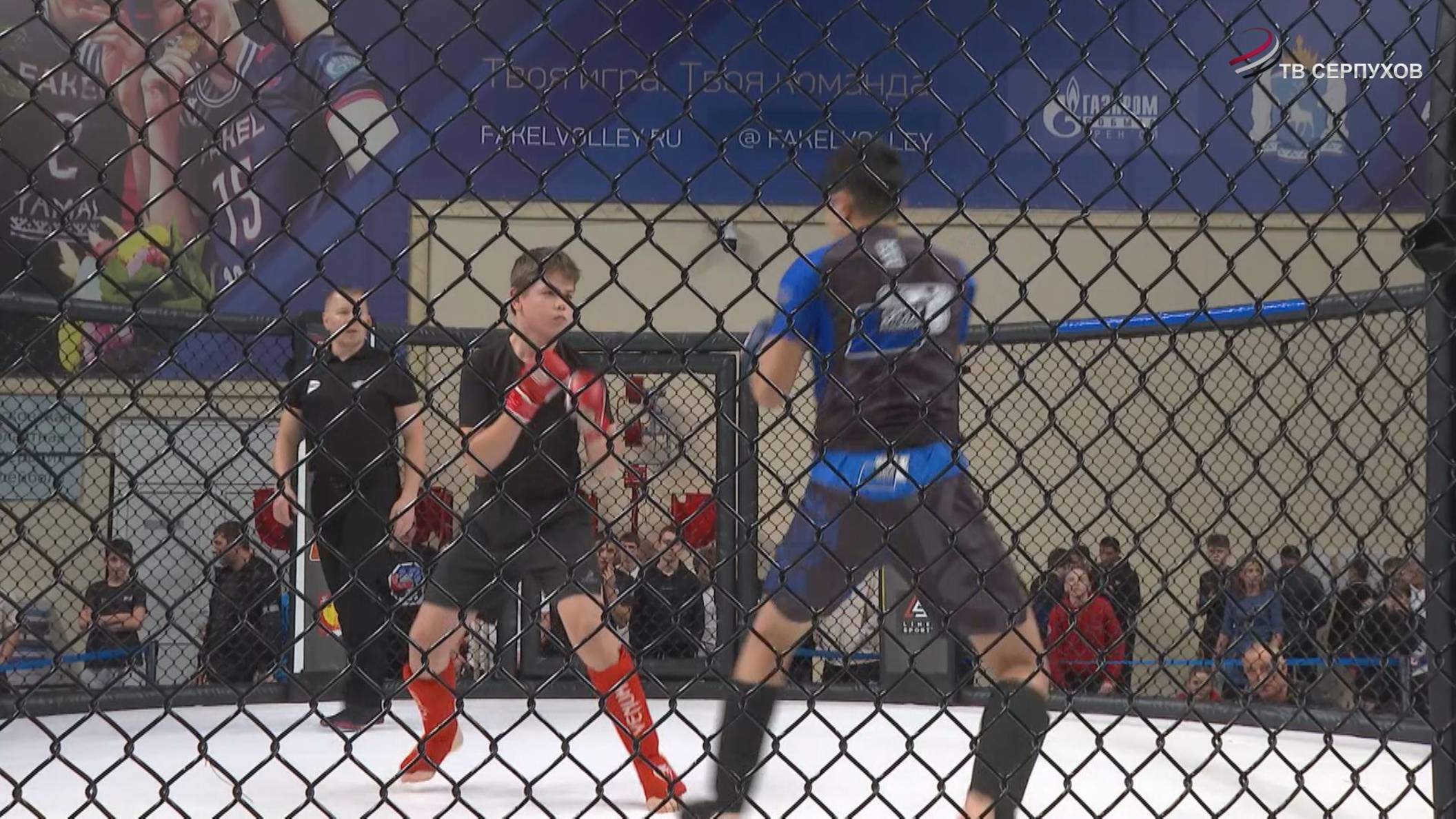 В Серпухове прошел межрегиональный турнир по ММА смотреть онлайн