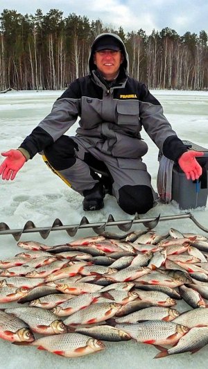 ТРОФЕЙНАЯ СОРОГА НА БЕЗМОТЫЛКУ