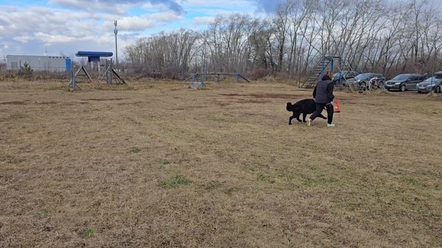 1. выражено/пож ОАО *СУМЗ* МЕДНАЯ ИМПЕРИЯ МАРКУС (TZW Maksimo – Оао *Сумз* МИ Эллоу Роуз) смотреть онлайн