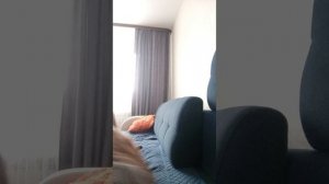 Распаковка 3D наклеек на чехол для телефона