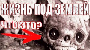 Он побывал внутри земли и сфотографировал подземный мир? Тайна экспедиции Генри Фрэнсиса Бартоломью