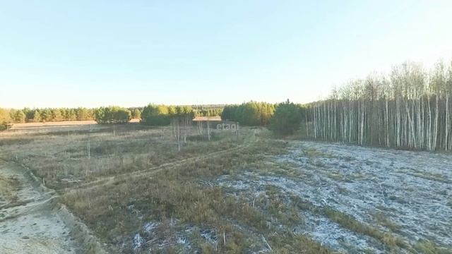 9811698, Рекина смотреть онлайн