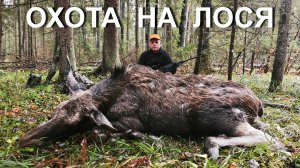 Охота НА ЛОСЯ 💥 КОЛЛЕКТИВ...