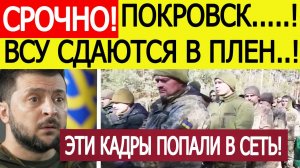 Покровск. Зеленский в ужасе! Началась массовая сдача в плен солдат ВСУ. Новости сегодня 05.11.2025