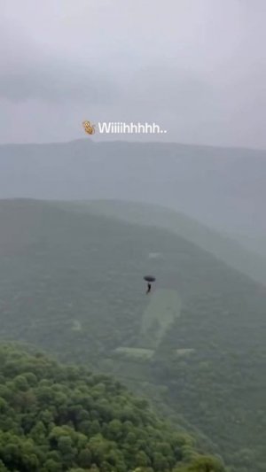 Обезьяна утащила у туриста зонтик и улетела на нём в джунгли — идеальное ограбление.  Умники скажут