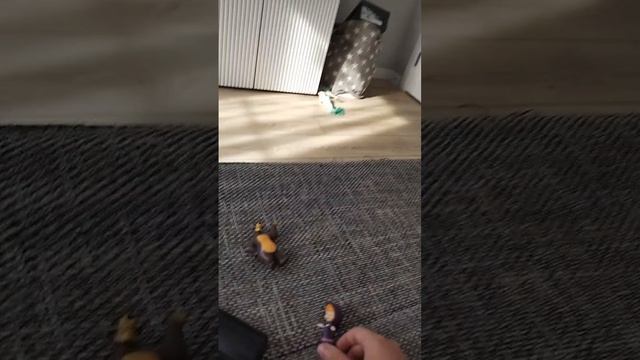 маша и медведь сказка на ночь 39. смотреть онлайн