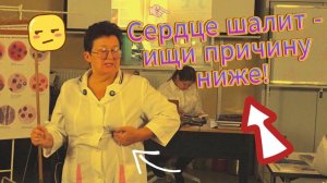 Главная тайна болезней сердца