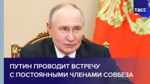 Путин проводит встречу с постоянными членами Совбеза