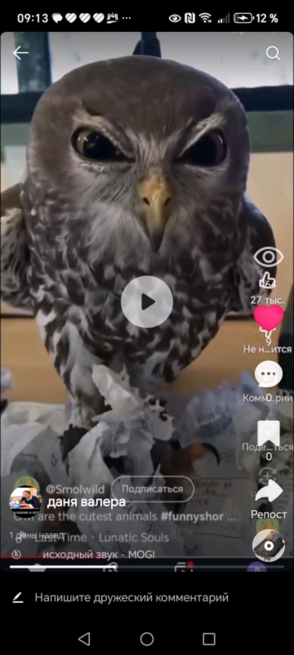 Даня в рутубе