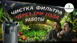 Чистка внешнего фильтра через 3 года работы. А ты такое видел, про такое слышал?