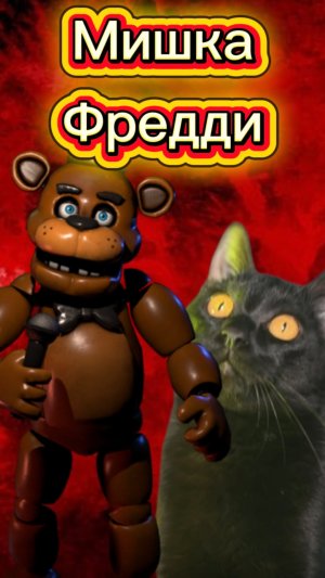 КУДА ОН МЕНЯ ПОНЕС??? 🙀 #кот #кошка #животные #ужасы #страшно #мишкафредди