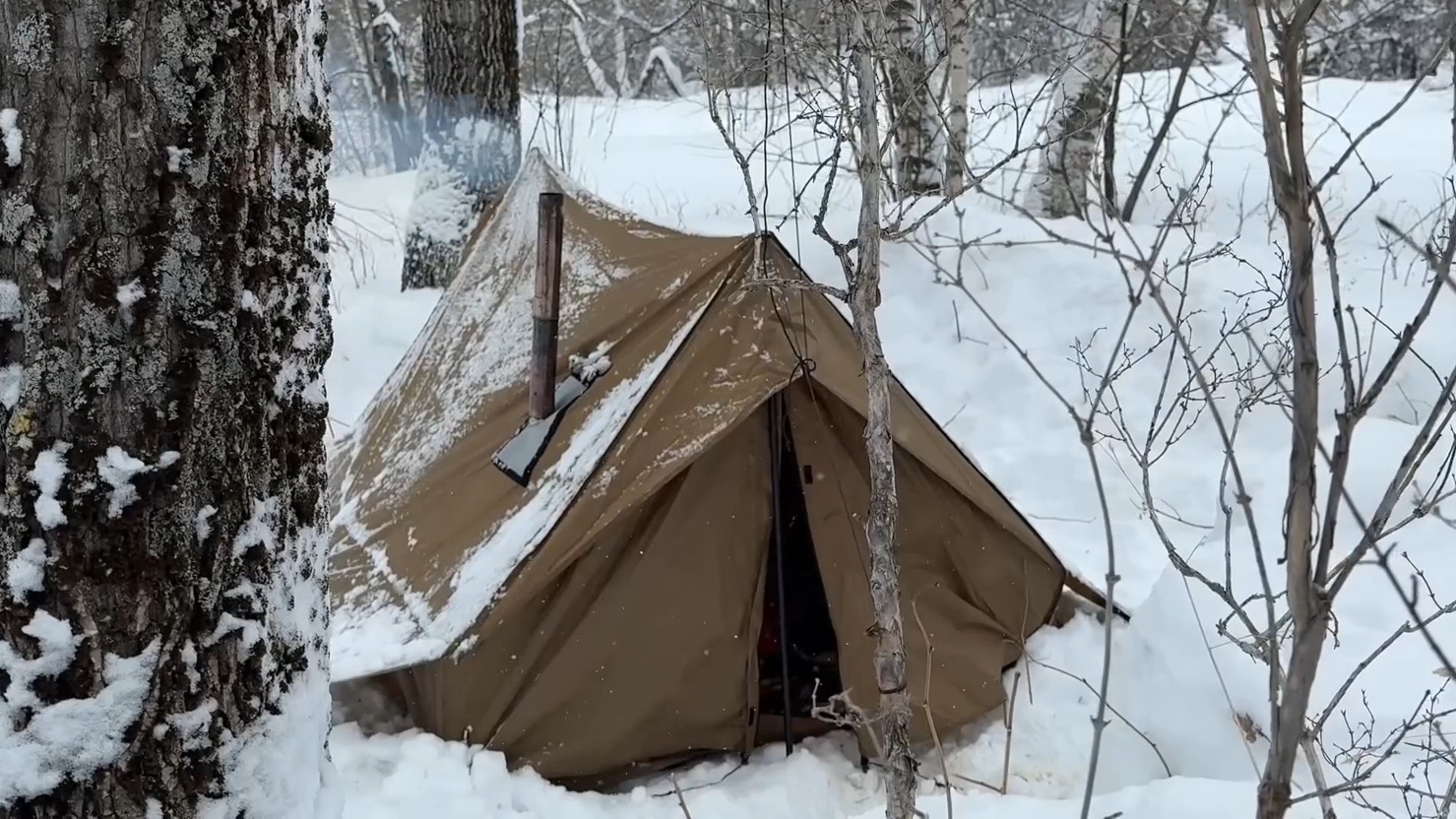 КАК ВАМ ТАКОЙ ПОХОД В ЗИМНИЙ ЛЕС? смотреть онлайн
