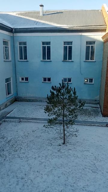 вот снег 🌨️❄️