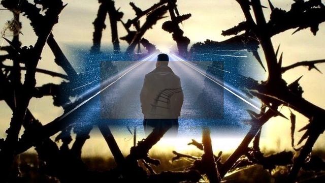 Тропа (вариация 7) смотреть онлайн