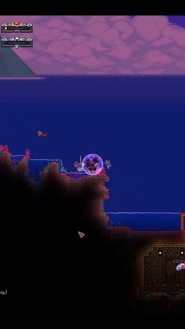 А куда делся океан? #terraria #террария #shorts