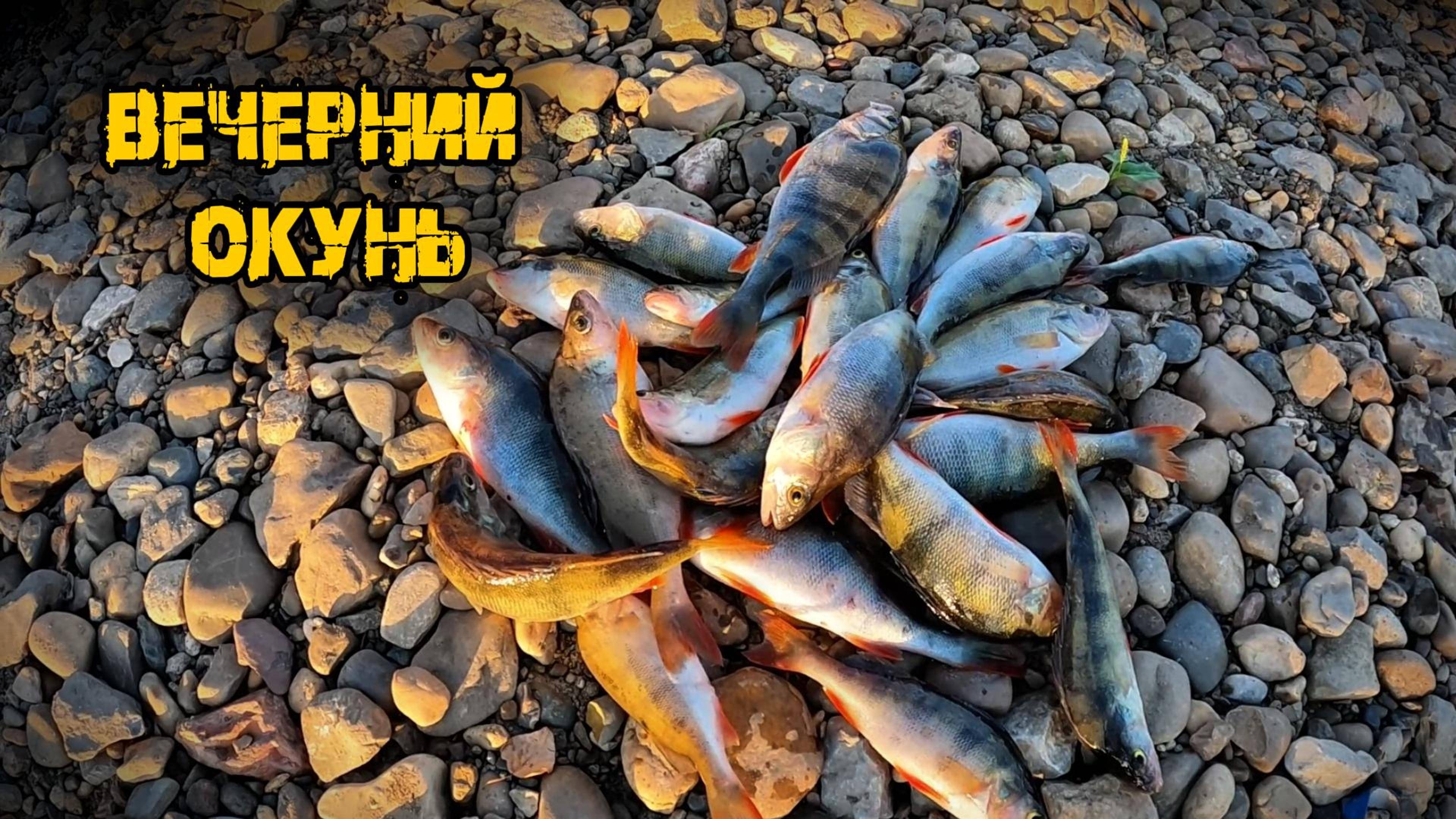 Ловля окуня на Камской ГЭС