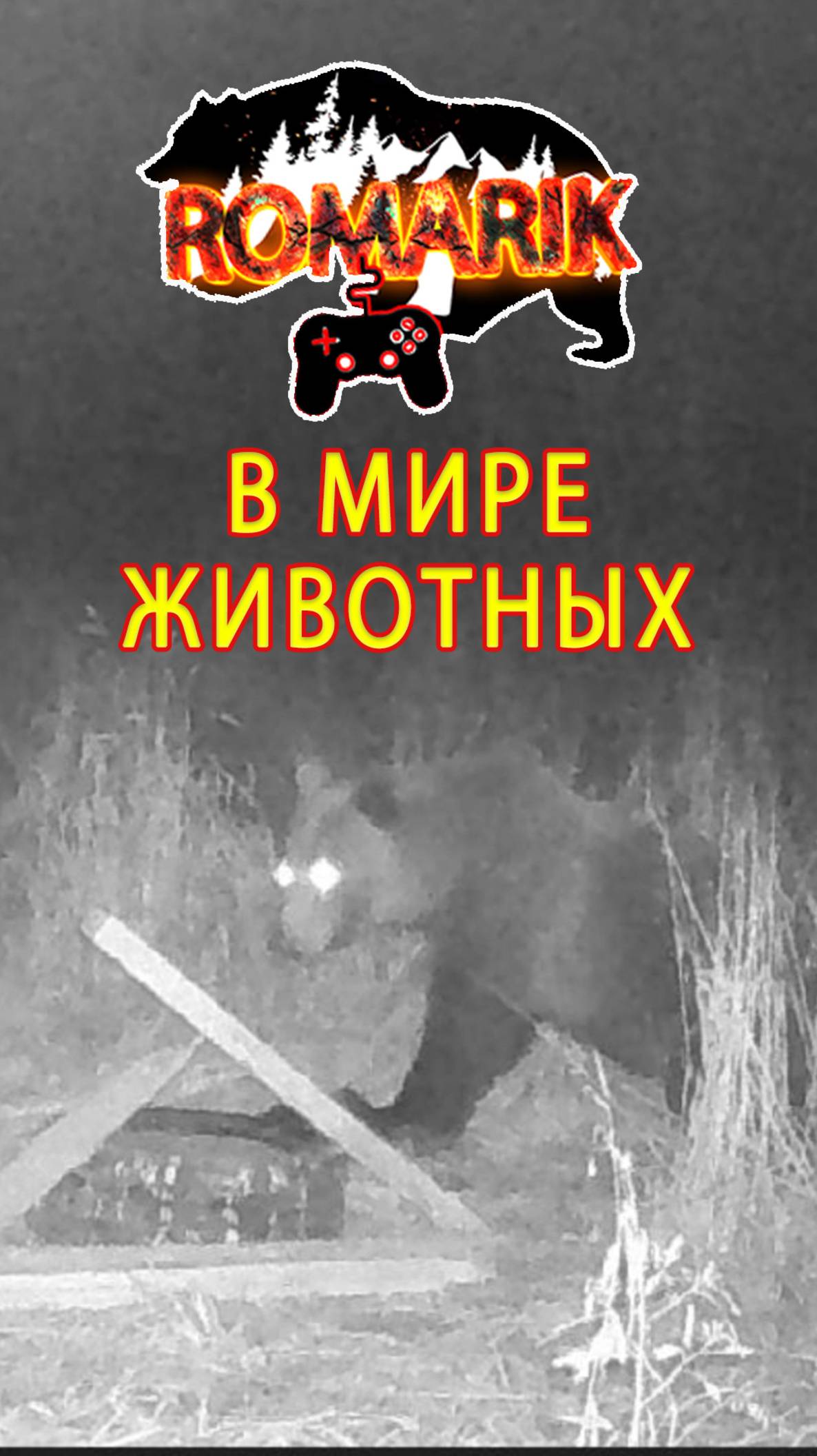 Медведь играет с кормушкой-колесом за вкусным лакомством. В мире животных