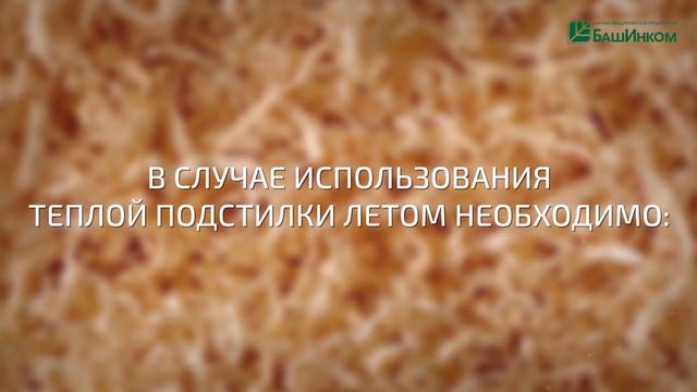 Бактерии, устраняющие запах и утепляющие подстилку для животных. смотреть онлайн