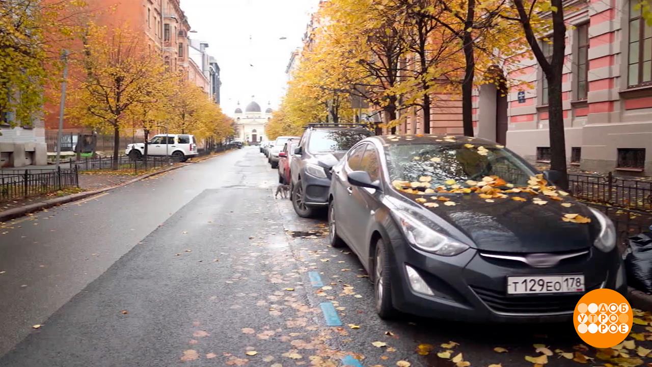 Питер паркуется... Доброе утро. Фрагмент выпуска от 05.11.2025