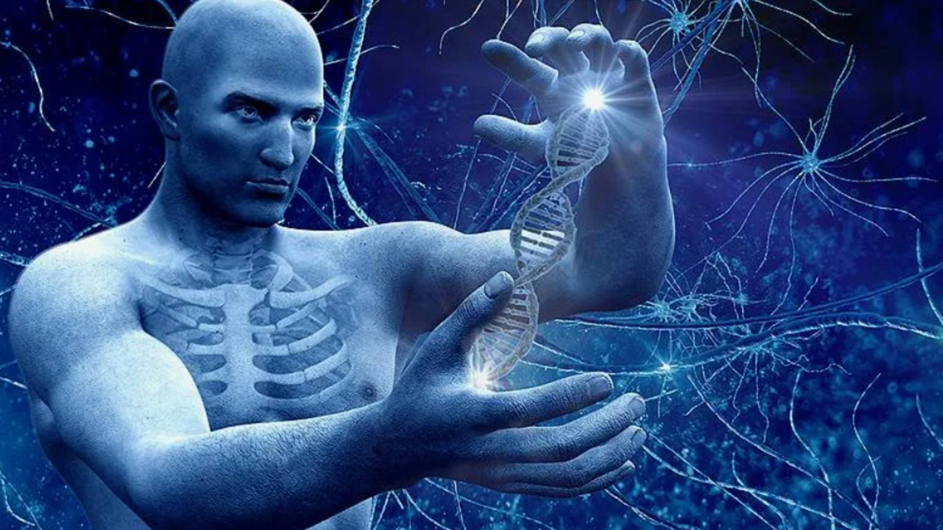 13. КАК ДЕЛАЮТСЯ ДУШИ- Статья 13- Валерий Поздняков смотреть онлайн