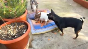 Нужно подкрепиться вкусненьким и полезным.