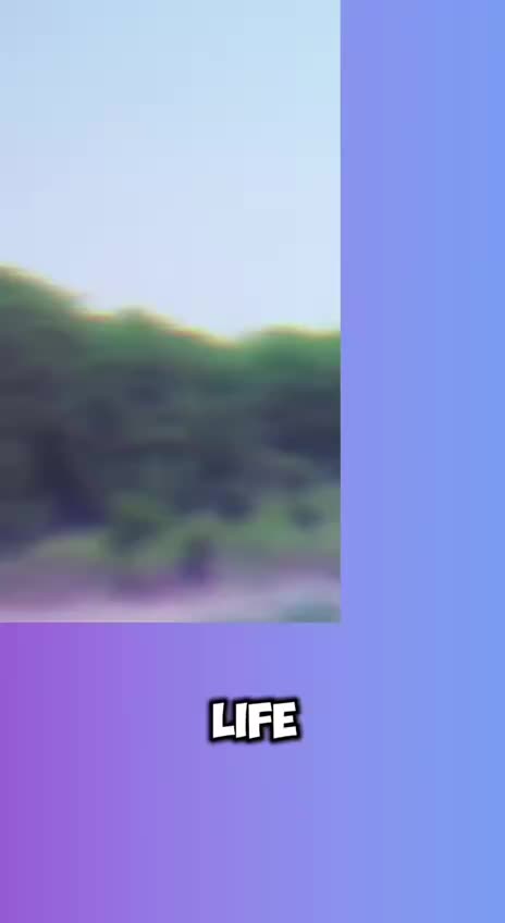 🔥 ПИТЕР, это ТВОЙ ШАНС перезагрузить жизнь! смотреть онлайн