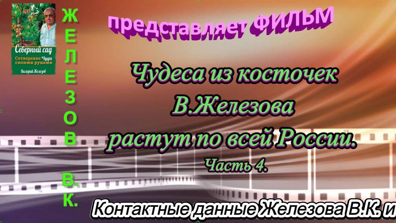 Чудеса из косточек В.Железова растут по всей России. Часть 4. смотреть онлайн