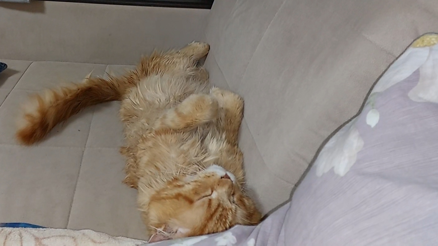 05-11-2025 смотреть онлайн