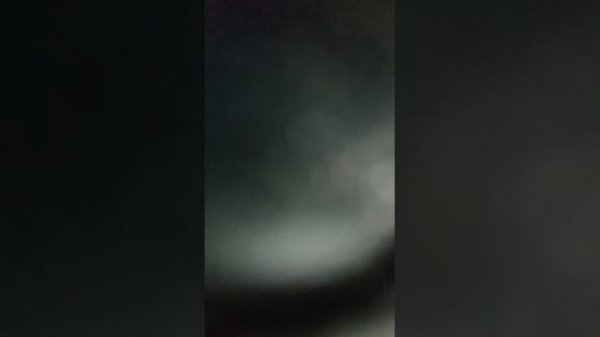 прогулка прогулка