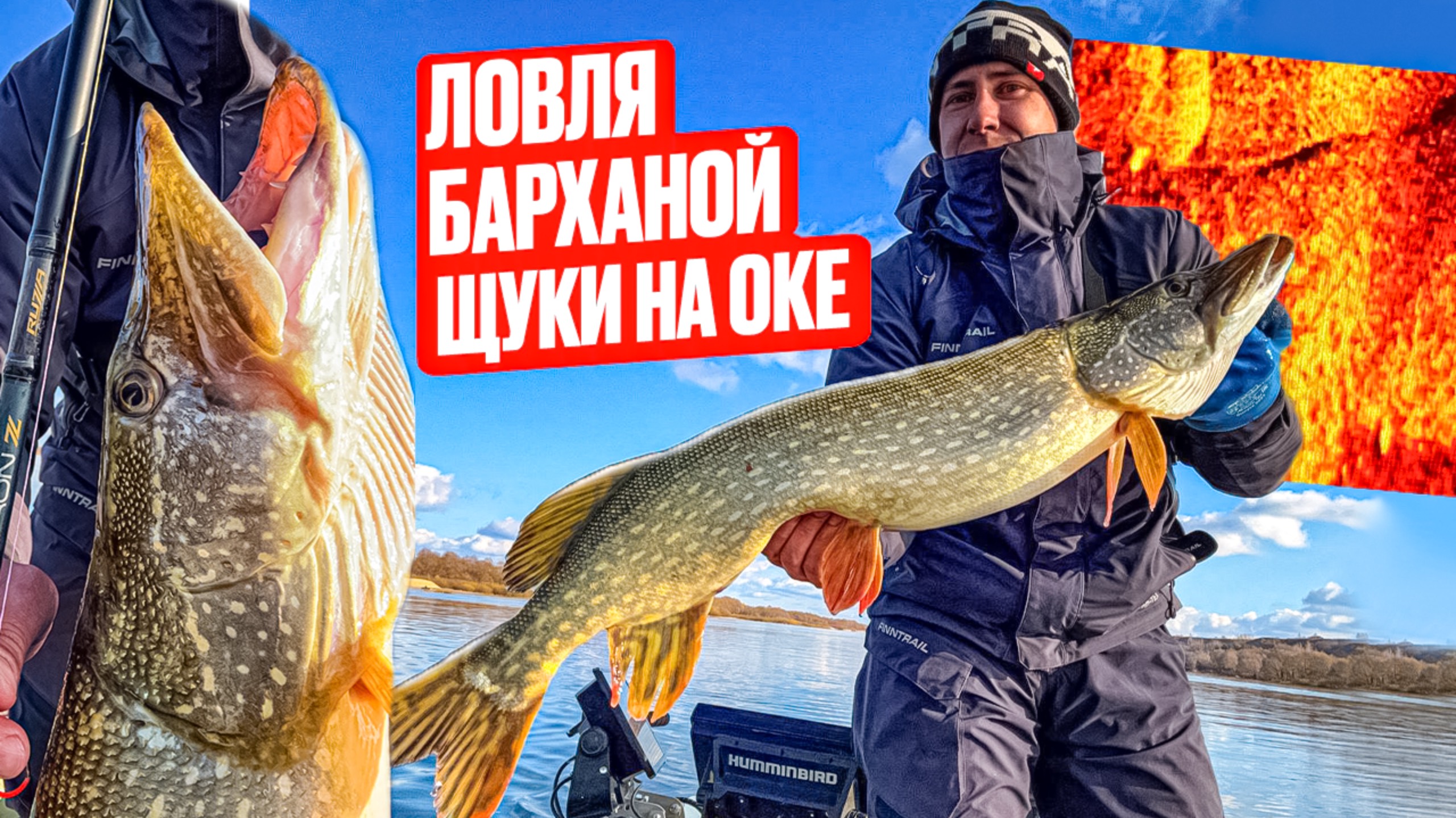 ЛОВЛЯ БАРХАНОЙ ЩУКИ НА ОКЕ! ТРОФЕЙНАЯ РЫБАЛКА!