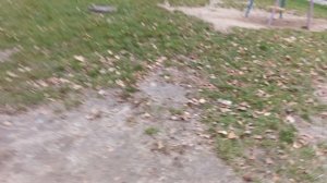 прогулка с котиком Basic