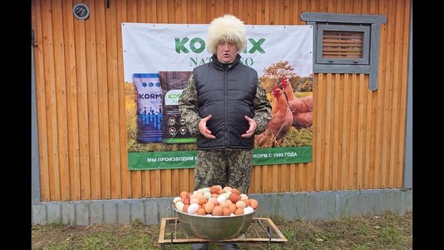 ЧЕМ КОРМИТЬ КУР ЧТО БЫ ОНИ НЕСЛИ ВКУСНОЕ ПОЛЕЗНОЕ ЯЙЦО! 03.11.2025 ГОД. смотреть онлайн