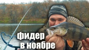 Рыбалка на фидер поздней осенью 2025. Что можно поймать в Ноябре? В шоке от улова🎣