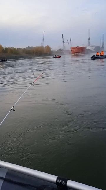 Дон ловим Рыбца осеннего,жирного..вкусного.Конец октября 2025 года.