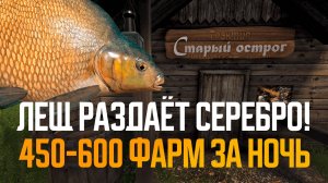 Новые точки фарма на Леще: 450-600 серебра за ночь! ● Русская рыбалка 4 ● Перчик РР4