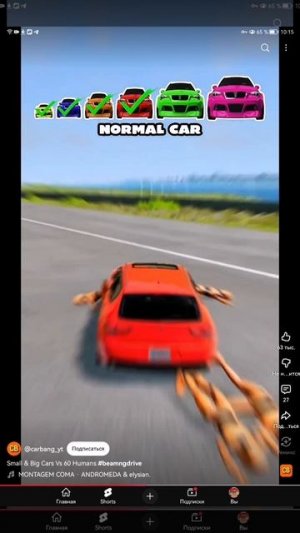 SVID_20251105_101443_1.mp4