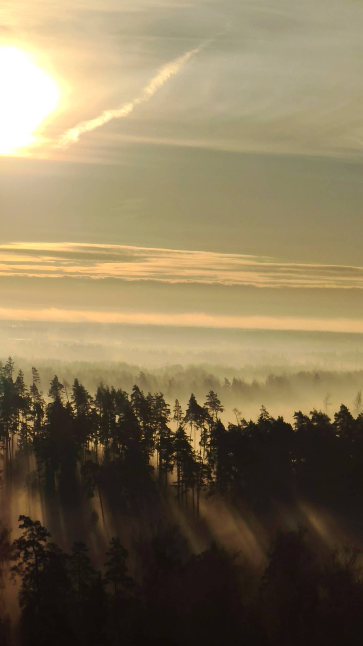 Волшебное утро ноября... смотреть онлайн