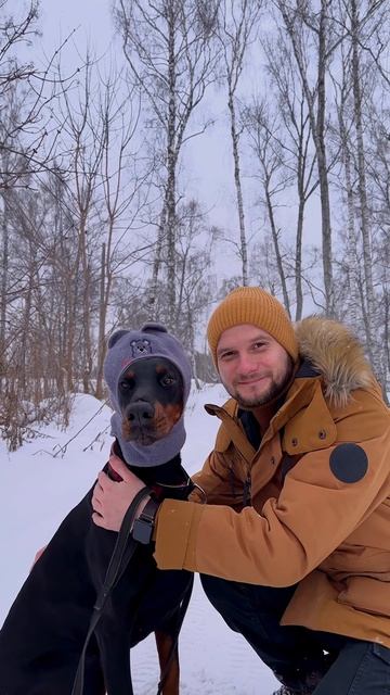 Готовы к зиме ? смотреть онлайн