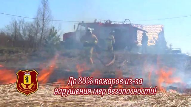 Пал сухой травы