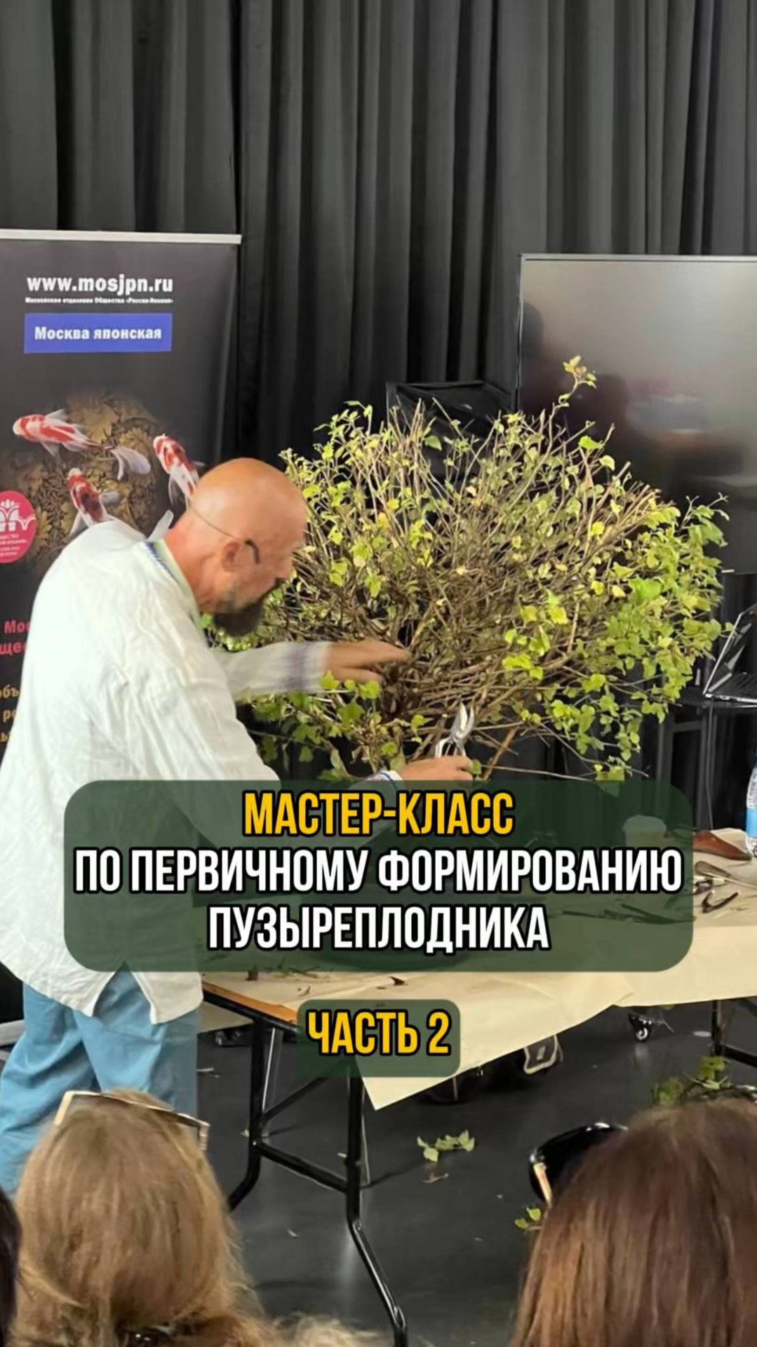 Мастер-класс по первичному формированию пузыреплодника. Часть 2 смотреть онлайн