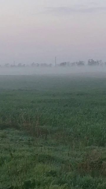 Туман- похож на обман!