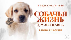 СОБАЧЬЯ ЖИЗНЬ:ДРУЗЬЯ НАВЕК