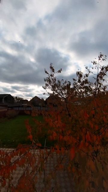 Из окна 🍂 таймлапс осень смотреть онлайн