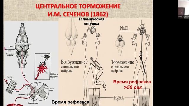 Нормальная физиологи для МБФ. ЦНС. Часть 1. Дьяконова И.Н.