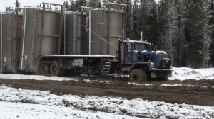 Freightliner, Kenworth, Peterbilt,International в Работе у Лесорубов.