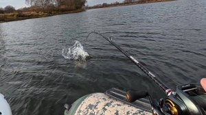 С Каждой Поклёвкой Больше и Больше! Рыбалка Мечта на Трофейную Щуку! Все про Снасть!