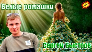 Хит от СЕРГЕЯ БЫСТРОВА - БЕЛЫЕ РОМАШКИ