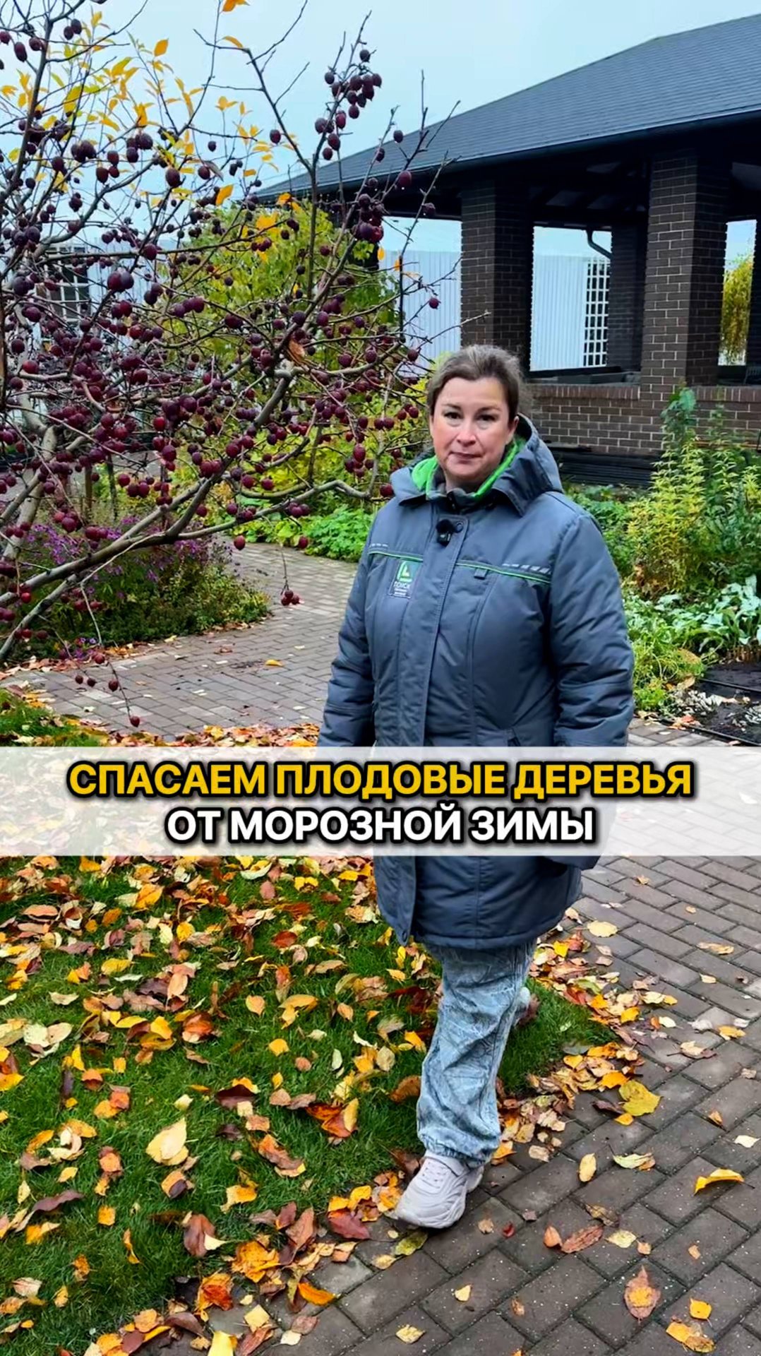 КАК ЗАЩИТИТЬ плодовые от морозной зимы?