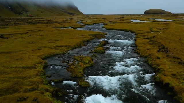 Дикая природа 4К 8К Full HD ультра (Wildlife 4K 8K Full HD Ultra) смотреть онлайн