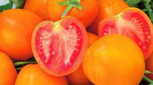 Продолжаю пополнять коллекцию томатов. Какие же сорта выбрать, их очень много 🙈 Нужна помощь 🙏